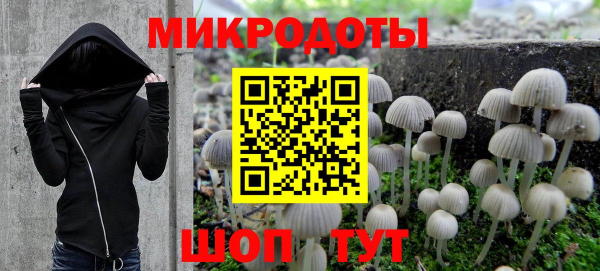 Галлюциногенные грибы Psilocybine cubensis Мыски